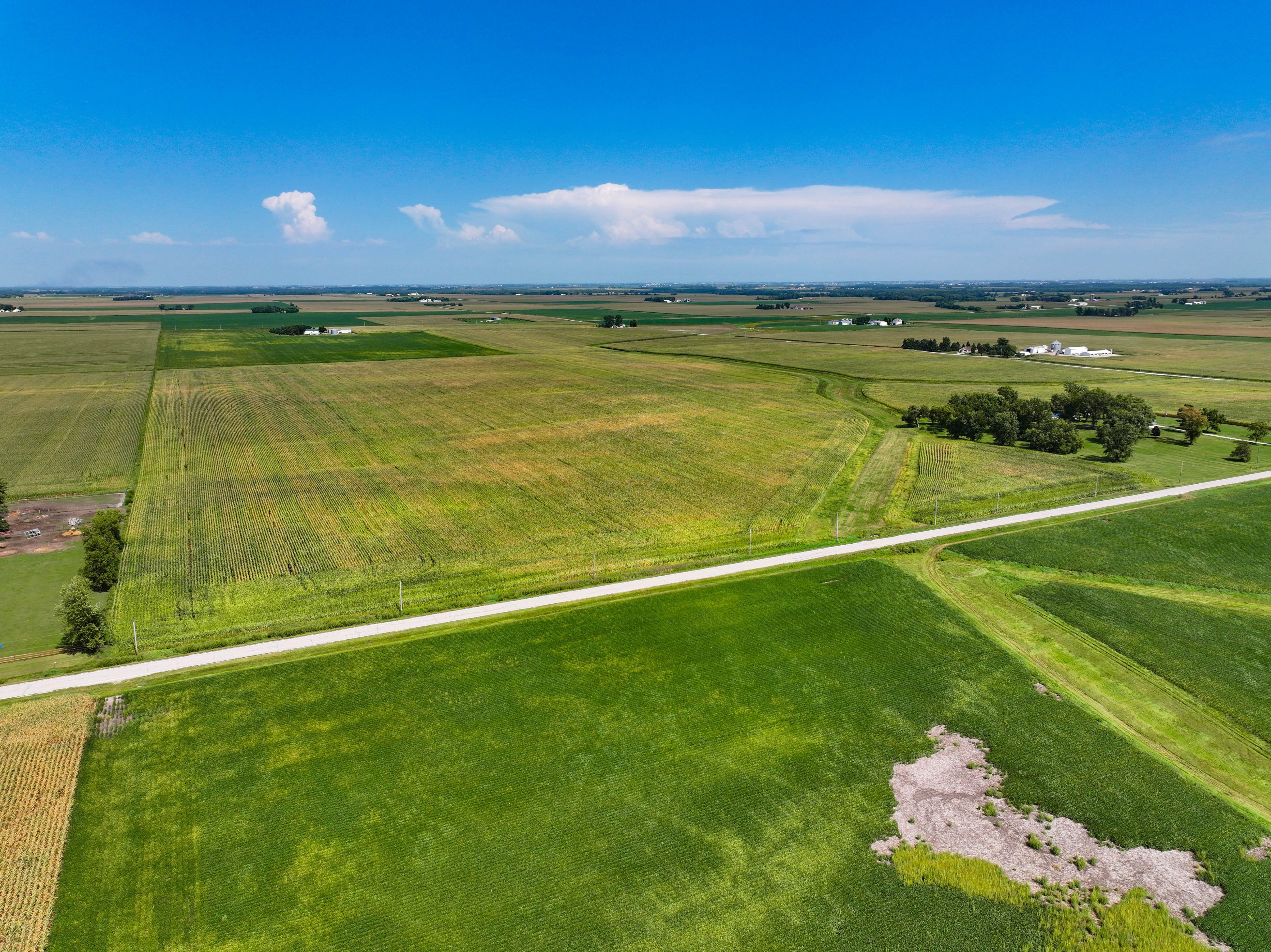 Listing Photo: 9_Black Hawk Co Farm For Sale